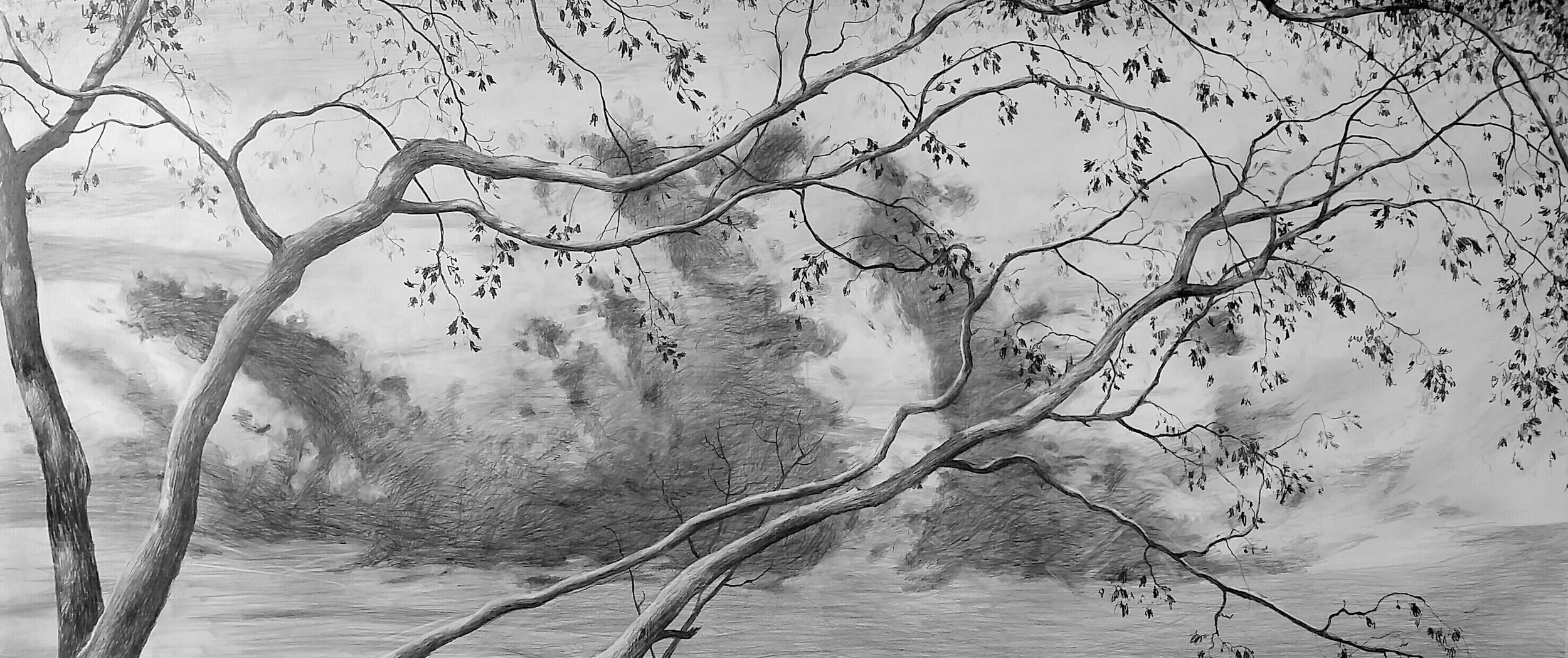 Landscape Drawings — Todd Mrozinski